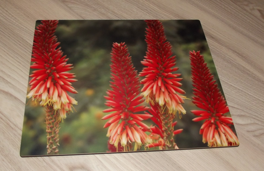 Metal Art Print in Matte Red Flowers